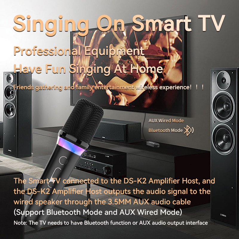 VAORLO Karaoke Companion ميكرو - مراجعة Karaoke Amplifier Mixer Bluetooth وسعره