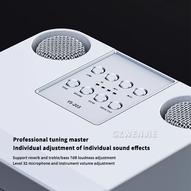 جهاز كاريوكي محمول مزود بميكرو - مراجعة Karaoke Machine Portable With 2 Mic وسعره