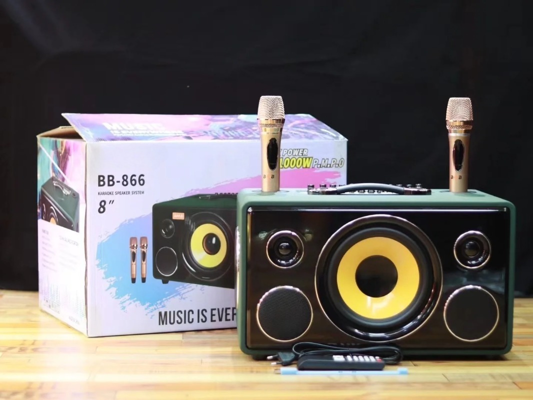 مكبر صوت كاريوكي خشبي احترافي  - مراجعة Karaoke Speaker System 100W Rgb وسعره
